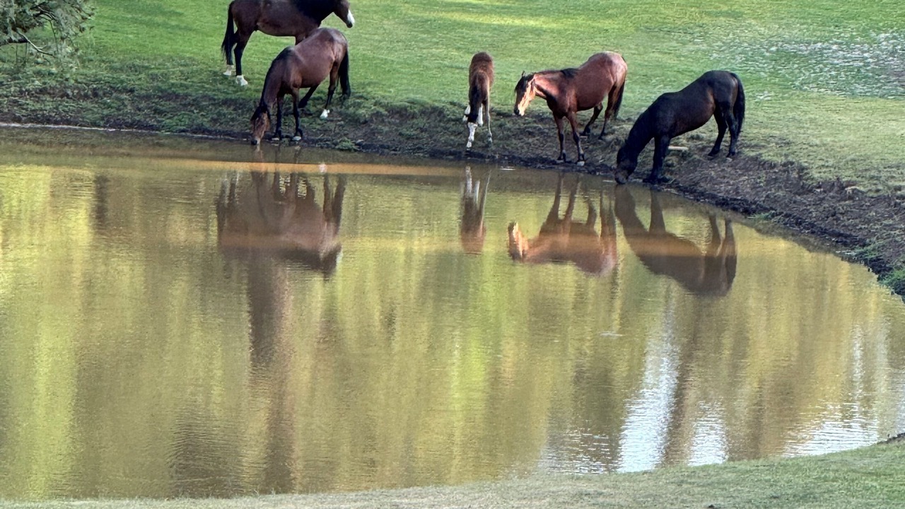 Photo of Others in Cloudcroft