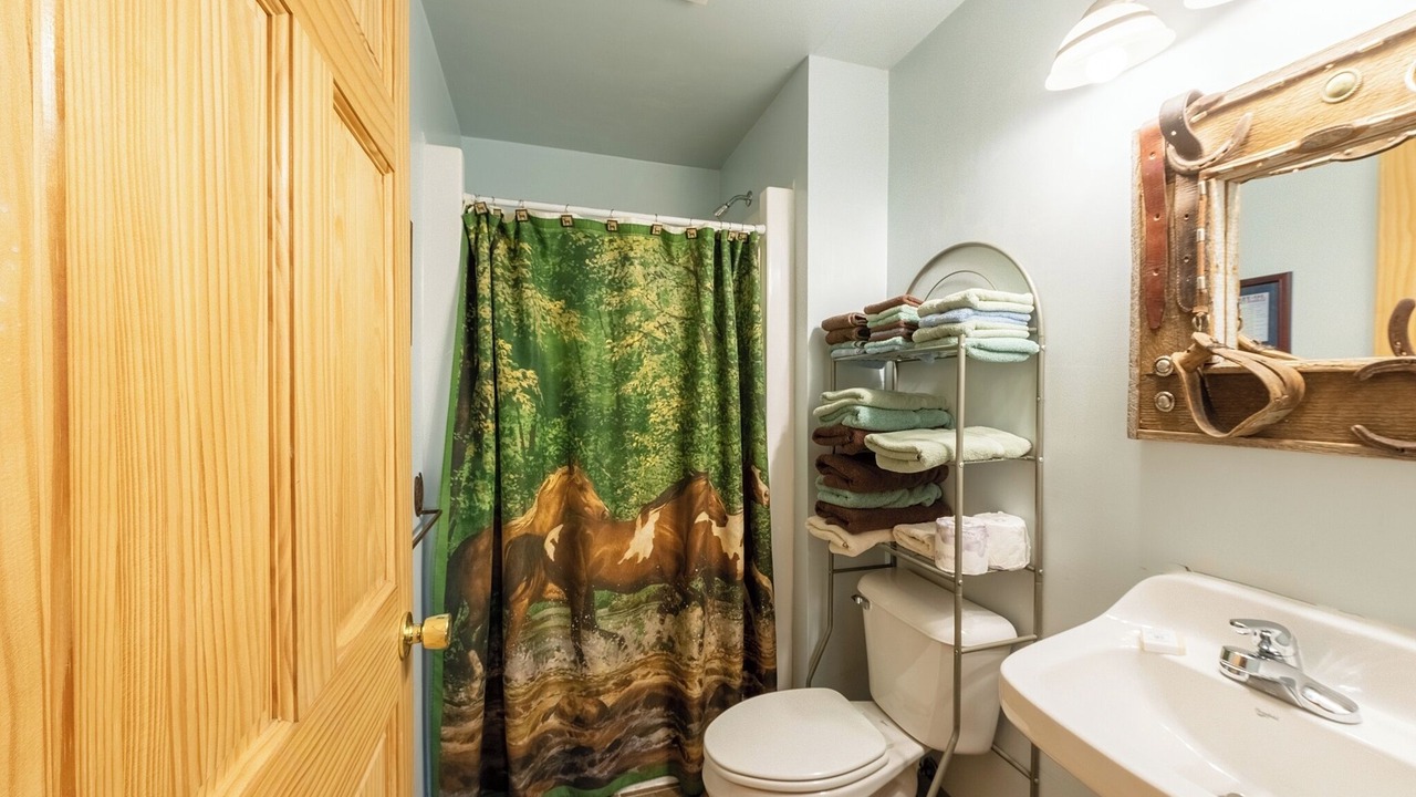 Photo of Bathroom in Mountain