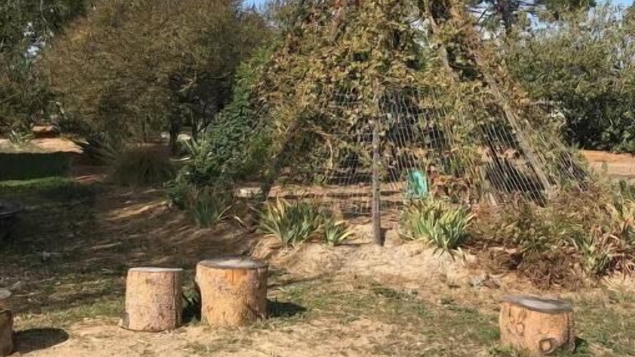 Photo of Outdoor in Davis
