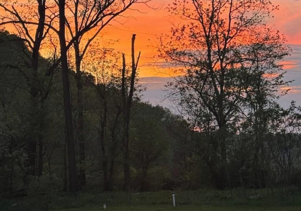 Photo of Others in Boscobel