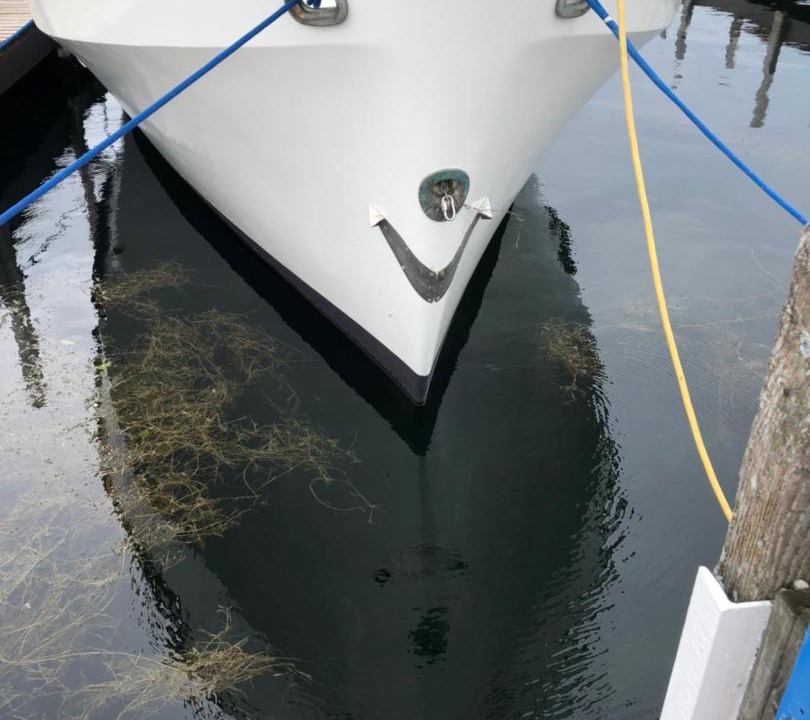 Photo of Others in Sister Bay