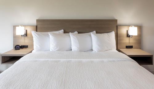 Room, 1 King Bed with Sofa bed (Extended Stay | Pet Friendly)