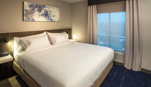 Room, 1 King Bed, Accessible (Roll-In Shower)