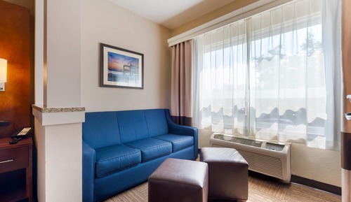 Suite, 1 King Bed with Sofa bed, Accessible, Lake View (Ground Floor)