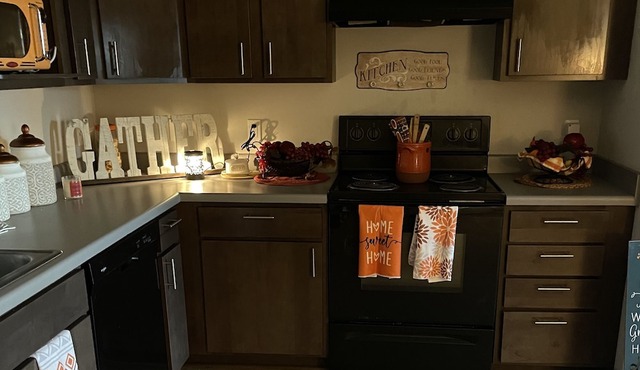 Cute cozy 2 bedroom apartment in Sun Prairie
