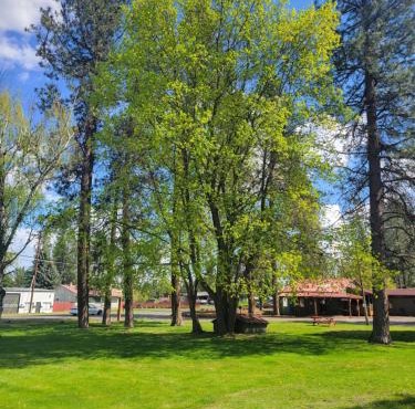 cedar village motel in Spokane