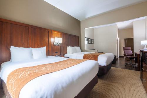 Comfort Suites Atlanta South 