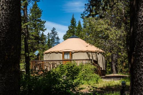 Camping Resort 